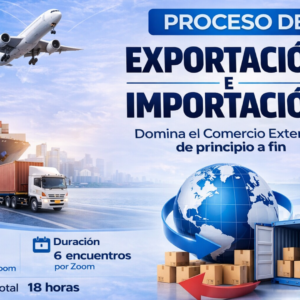 Proceso de Exportación e Importación- 29/6 al 15/7 - Híbrido